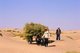 China: Uighur men with donkey cart near the Imam Asim Mazar (shrine) in the desert near Khotan, Xinjiang Province